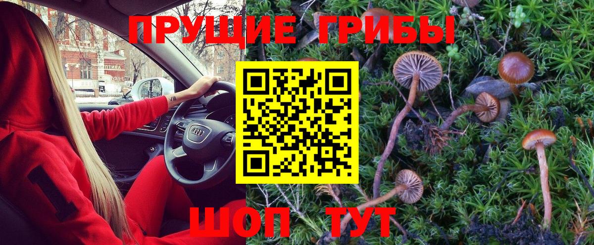 Псилоцибиновые грибы Psilocybine cubensis Люберцы